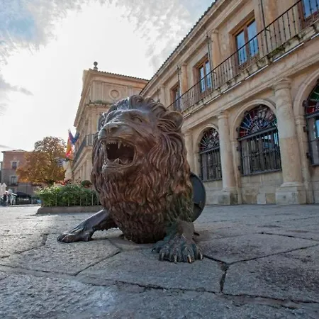 Leon 60 M2 Maximo 4 Huespedes N2