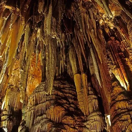 Leon 60 M2 Maximo 4 Huespedes Διαμέρισμα