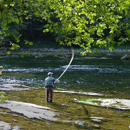 Leon 60 M2 Maximo 4 Huespedes *